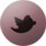 Elite on Twitter